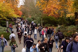The University of Washington is offering a number of new degree programs with the start of fall quarter 2014.