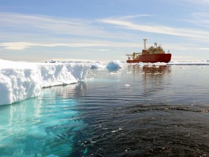 ship near icebergs