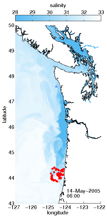 animation of coastal model