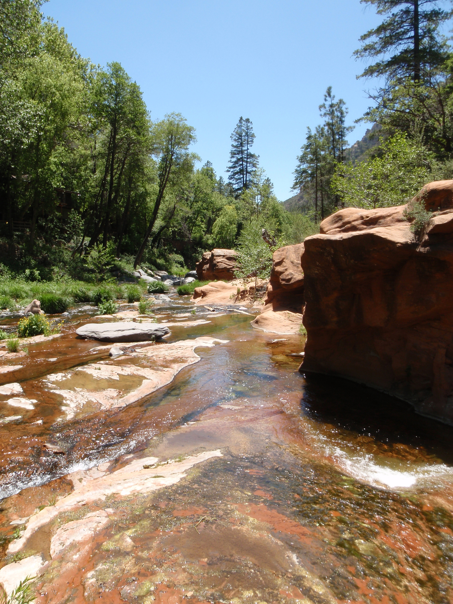 A wide stream flows over rocks between tree covered shores