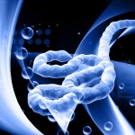 Ebola