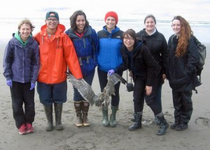 Seven students stand on beach holding bird carcass