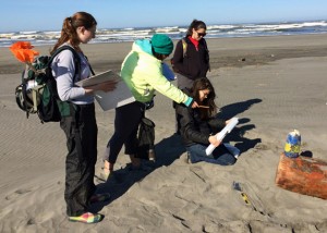 Students stand and sit on beach looking at plastic cooler lid and writing notes