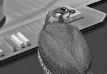 Drawing of back of bird as it looks over buildings