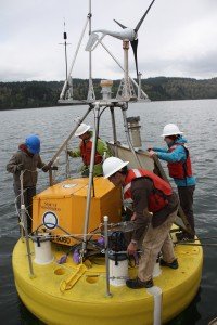 people on buoy