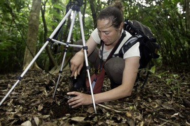 Sampling for fossils in Costa Rica