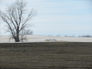 field half covered in snow