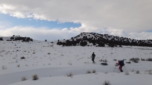people pulling sleds on snow