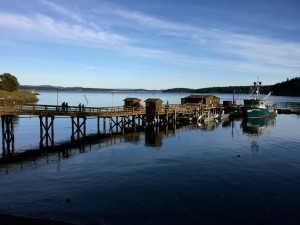 photo of dock in sunshine