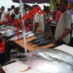 A fish market in the Solomon Islands, near Papua New Guinea.