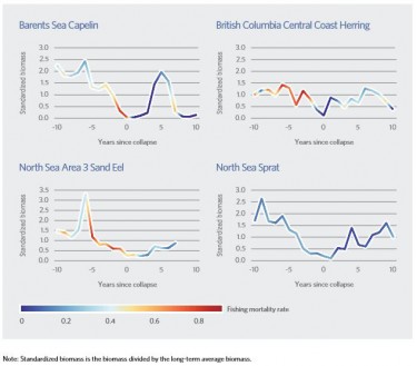 Intense fishing often coincides with population collapse.