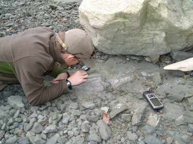 Adam Huttenlocker, then a UW graduate student and Burke Museum paleontologist, examines the first dinosaur fossil found in Washington state at Sucia Island State Park in the San Juan Islands.