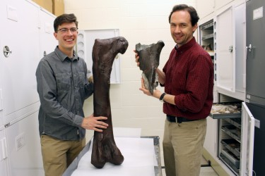 Christian Sidor, right, and Brandon Peecook show the size and placement of the fossil fragment compared to the cast of a Daspletosaurus femur.