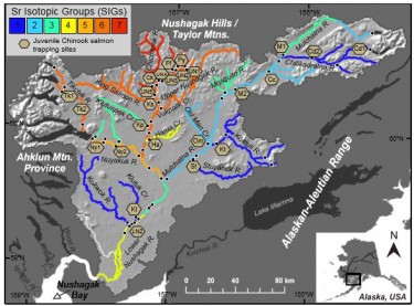Map of the Nushagak River showing various strontium isotope groups.