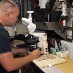 researcher looking into microscope