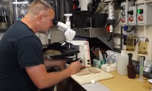 researcher looking into microscope