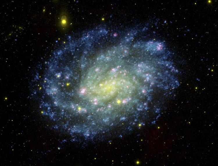 The galaxy NGC 300.