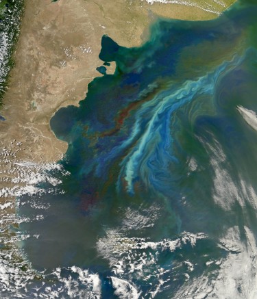 Satellite image