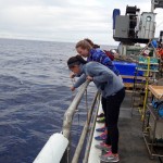 Students onboard the R/V Thompson collect velella velella (by-the-wind-sailors) off the starboard side during the first leg of the expedition.