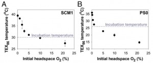 A tropical-water archaea from the Seattle Aquarium grown at 30 C (left) and an isolate from Puget Sound grown at 26 C (right) give very different TEX-86 readings depending on the water's oxygen content.