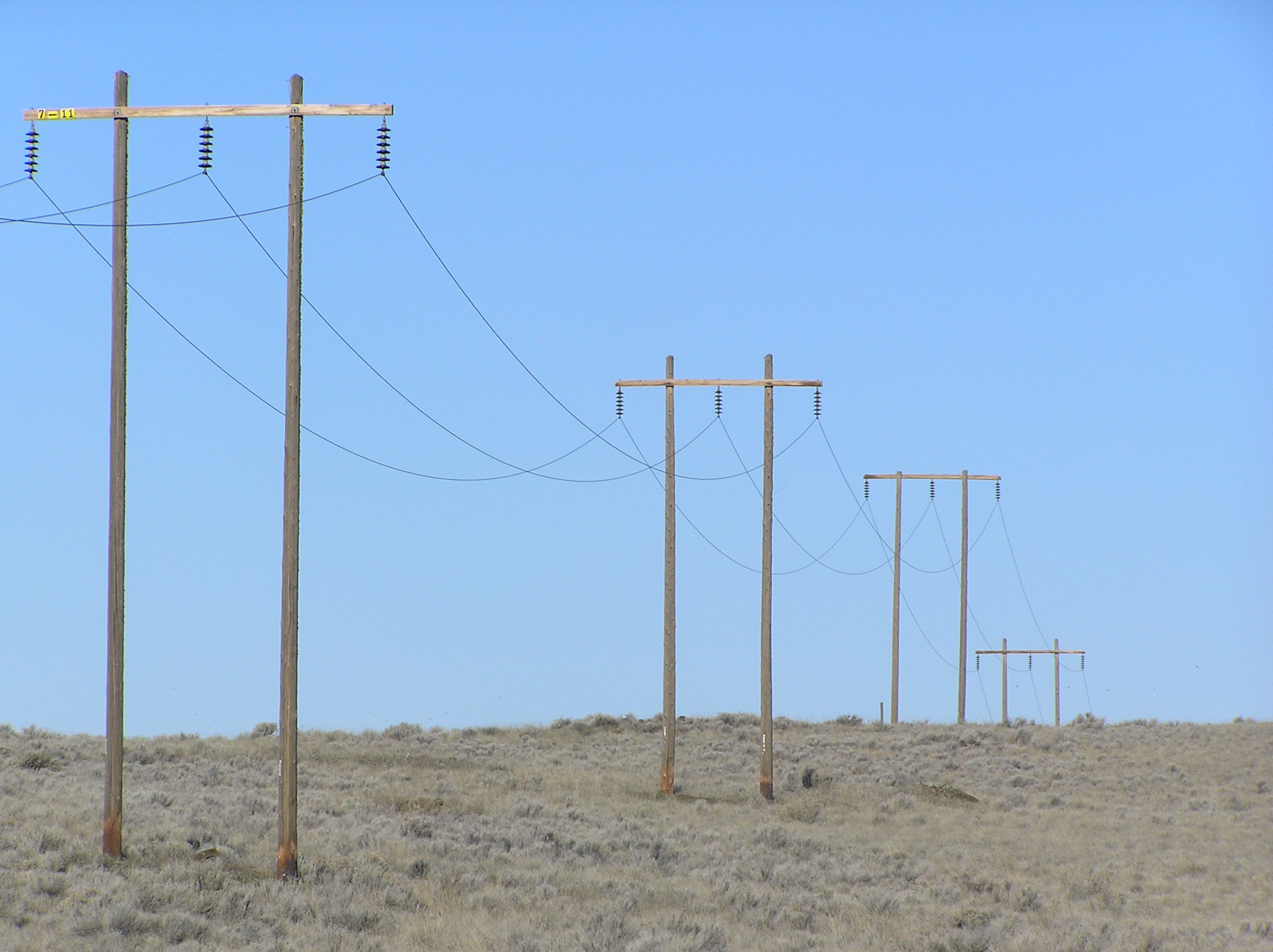 Power Lines Restrict Sage Grouse Movement In Washington UW News