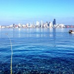 UW researchers sample for young salmon and invertebrates along a restored beach at Seacrest Park in Seattle's Elliott Bay.