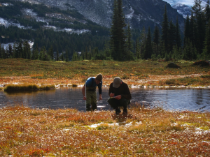 two researchers by pond