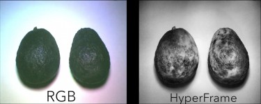 Avocado image comparison between HyperCam and regular camera.