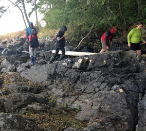 students looking for sea stars