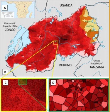 These are high-resolution maps of wealth distribution in Rwanda based on metadata from mobile phone call records. Darker shades indicate relative wealth. A. The location of Rwanda in Africa; B. Map of "cells" in Rwanda, the smallest administrative unit. These could be households or microvillages. C. Enlargement of a 10K x 10 K region. D. Enlargement of a 2k x 2k region.