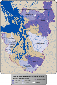 Glaciers are an important source of summer meltwater, especially in the Skagit and Puyallup basins. Purple shading show how much of each watershed's area is covered by glacier. These glaciers are projected to recede, releasing sediment and ultimately decreasing the cool late-summer flows that glaciers provide.