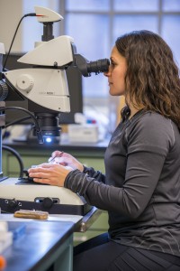 person at microscope