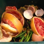 food scraps in compost bin
