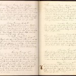 handwritten pages with whale sketches