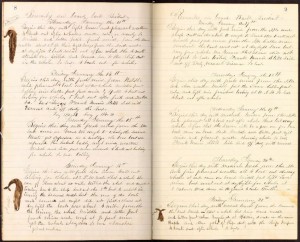 handwritten pages with whale sketches