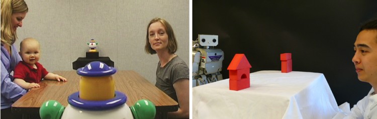 photos of gaze experiments