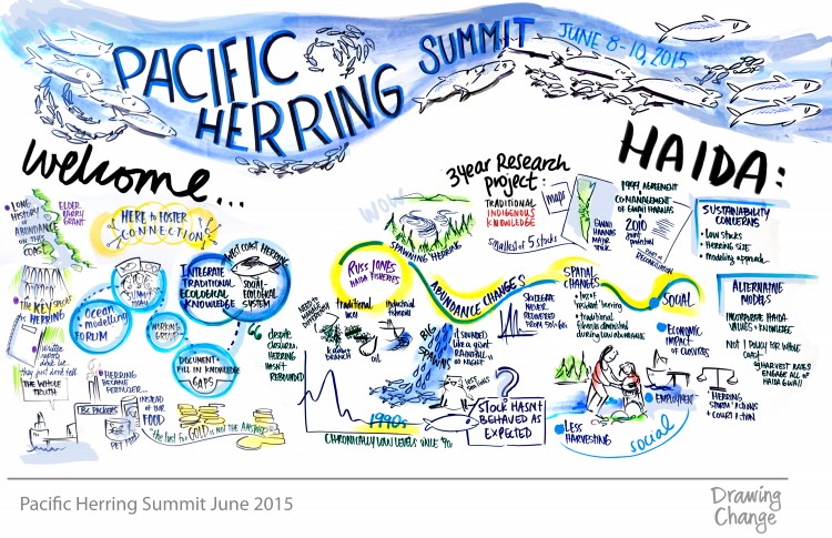 drawings of herring summit