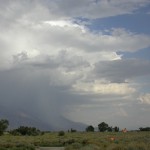 thunderstorm with butterflies