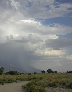 thunderstorm with butterflies
