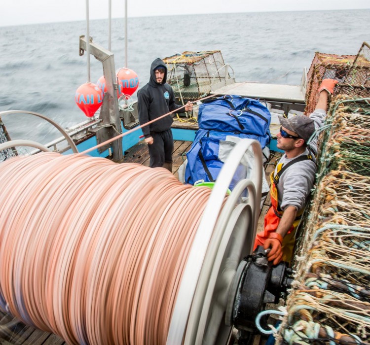 Dangerous fishing may be endangered, new study finds UW News