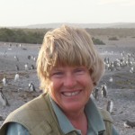 Dee Boersma