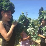 Kids get creative with kale in Tacoma, Washington.