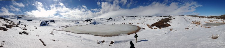A wintertime view of wetlands in Douglas County, Washington.