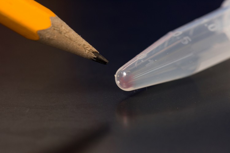 Photo of DNA
