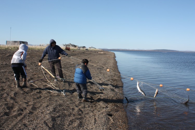 Sisualik, a traditional fish camp area for people from Noatak, Alaska in the Kotzebue Sound region.