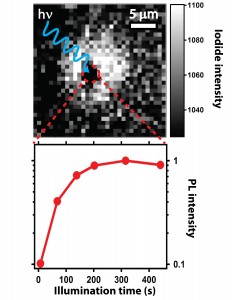 Ions moving away from the light.
