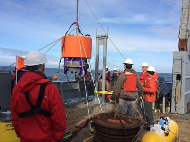 The box surround by purple contains an automated laboratory that will analyze seawater for algal species and toxin. Researchers deployed it May 23 about 13 miles off Washington's coast.