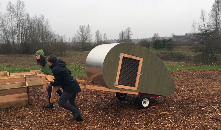 moving a new chicken coop at uw farm.