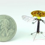Image of flying insect robot