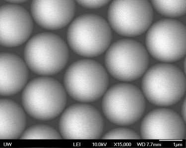 SEM image of granular crystals